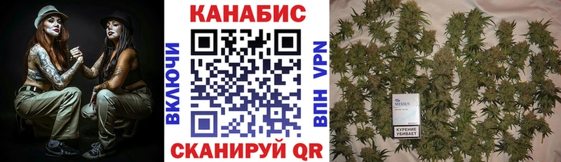 купить наркоту  Гороховец  Бошки Шишки семена 